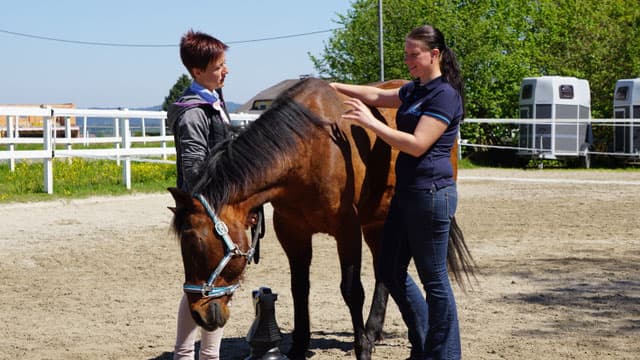 Coaching-Einheit mit Pferd