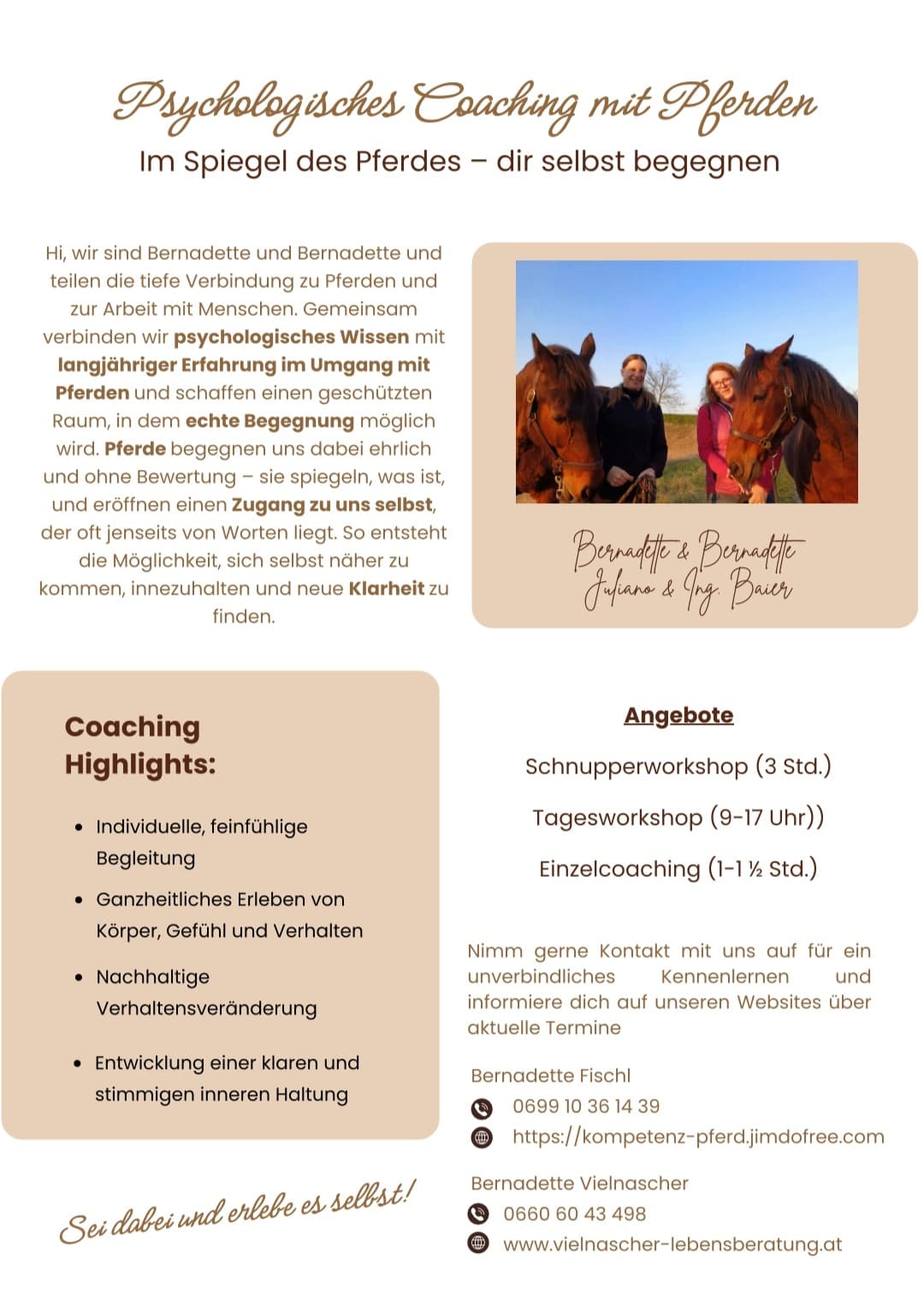 Gruppencoaching mit Pferden