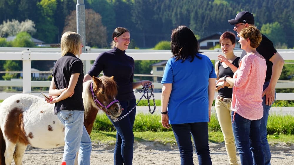 Gruppencoaching – Seminar mit Pferden