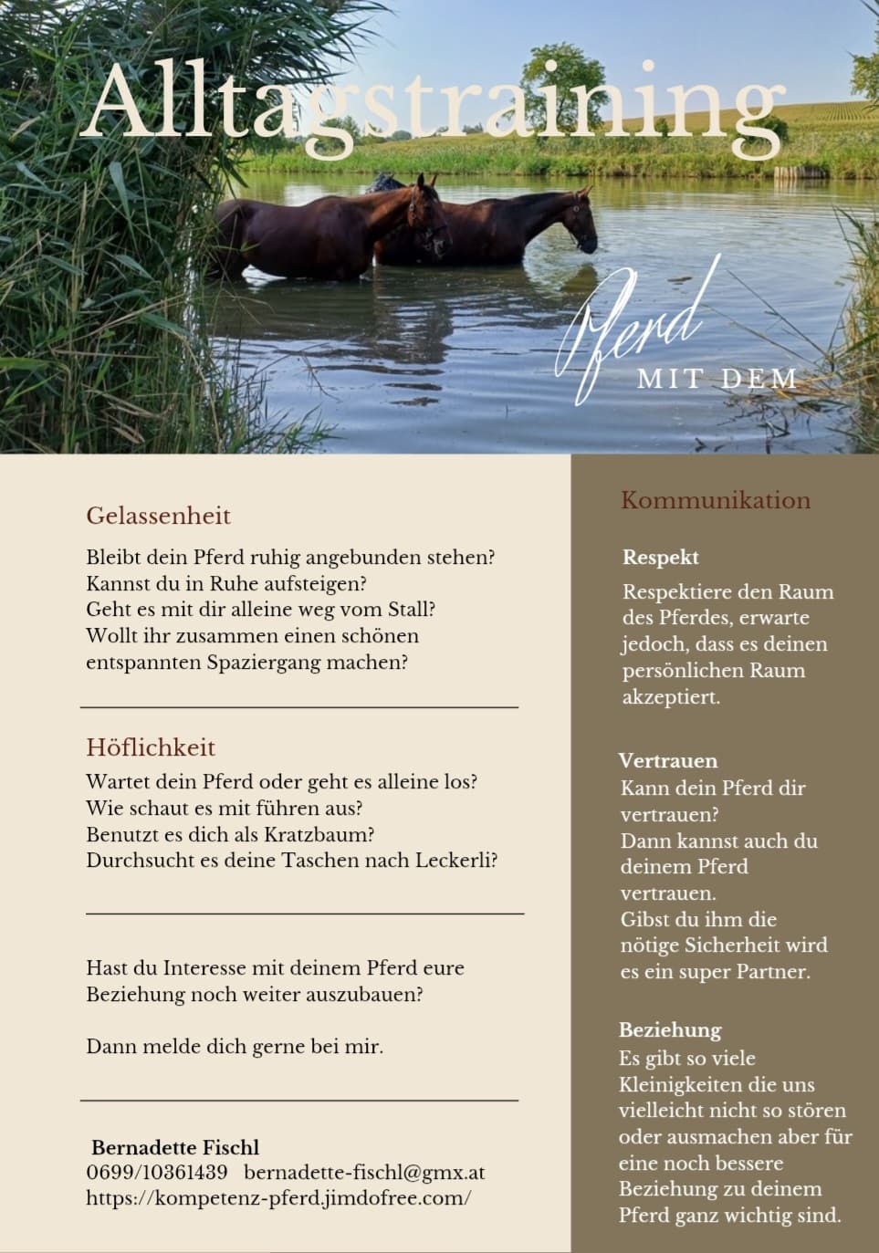 Alltagstraining mit dem Pferd