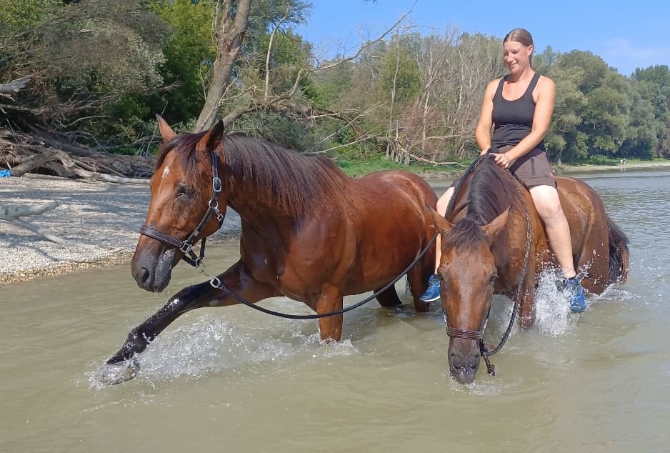 Bernadette Fischl – Pferdetrainerin und Mental Coach