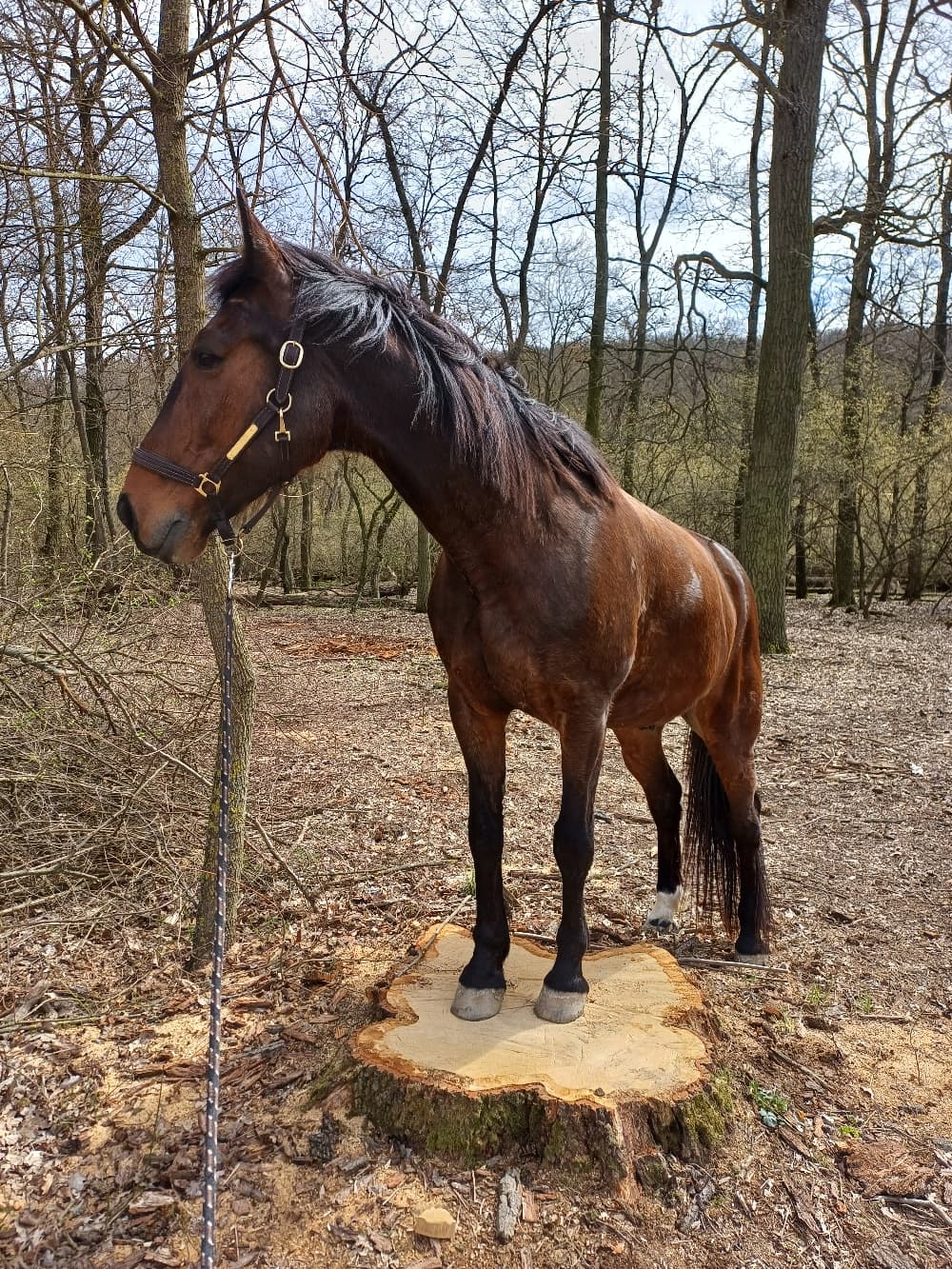 Juliano