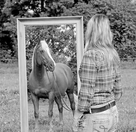 Das Pferd als Co-Trainer – Mensch und Pferd in Begegnung