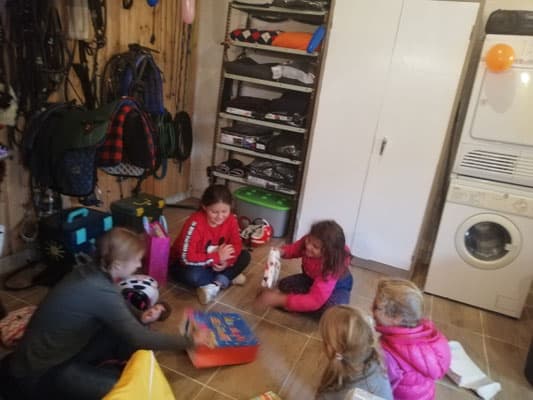Kindergeburtstag am Pferdehof 11