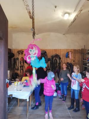 Kindergeburtstag am Pferdehof 13