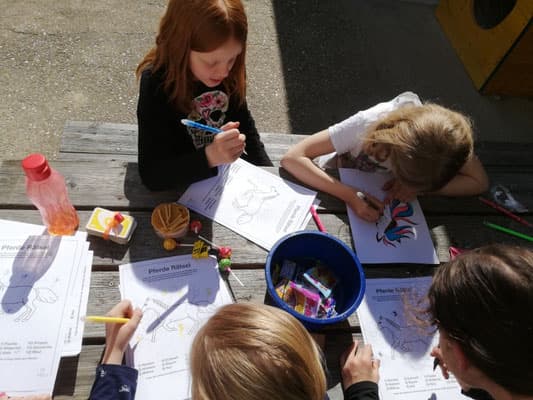 Kindergeburtstag am Pferdehof 14