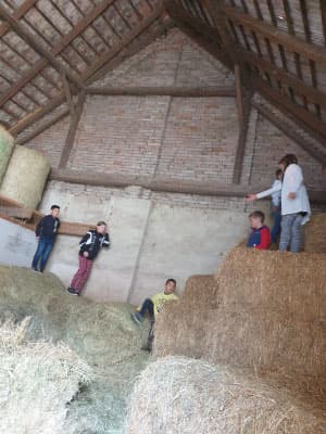 Kindergeburtstag am Pferdehof 16