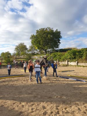 Kindergeburtstag am Pferdehof 2