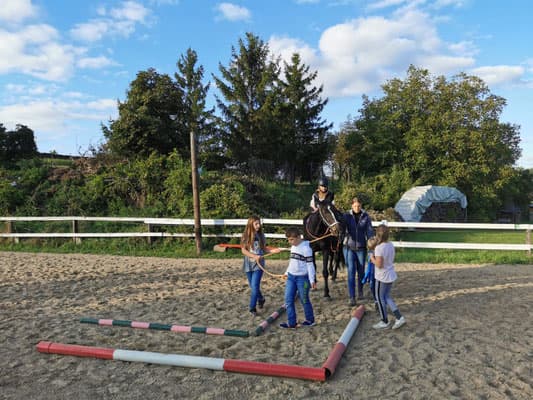 Kindergeburtstag am Pferdehof 4
