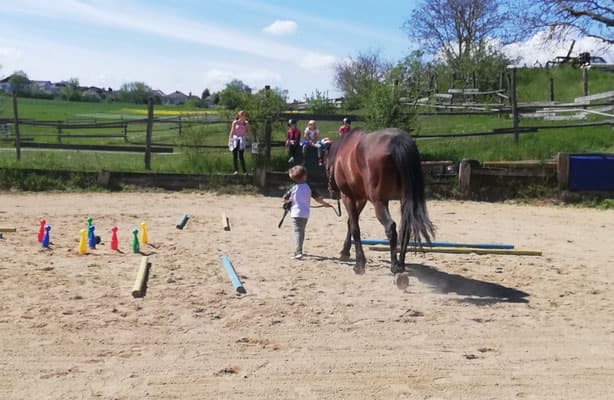 Kindergeburtstag am Pferdehof 5