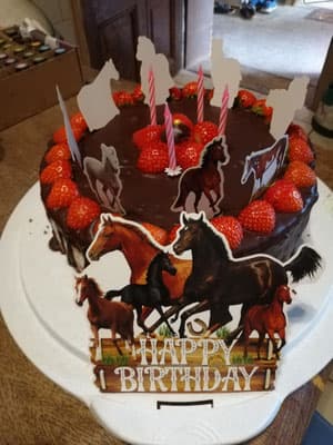 Kindergeburtstag am Pferdehof 9