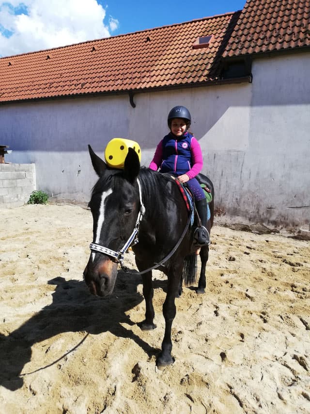 Lerntraining mit Pferden für Kinder