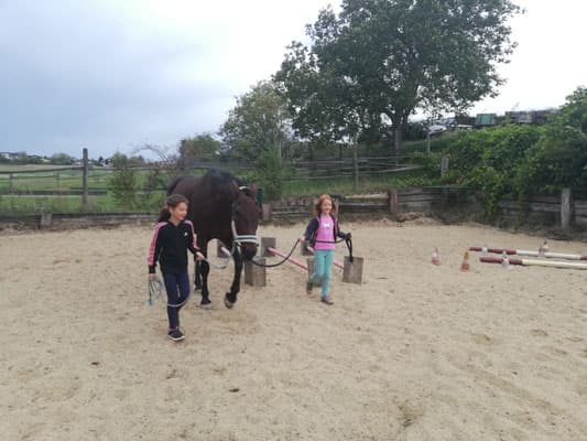 Lerntraining Galerie 2